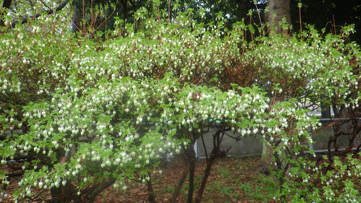 都立赤塚公園 tweet media