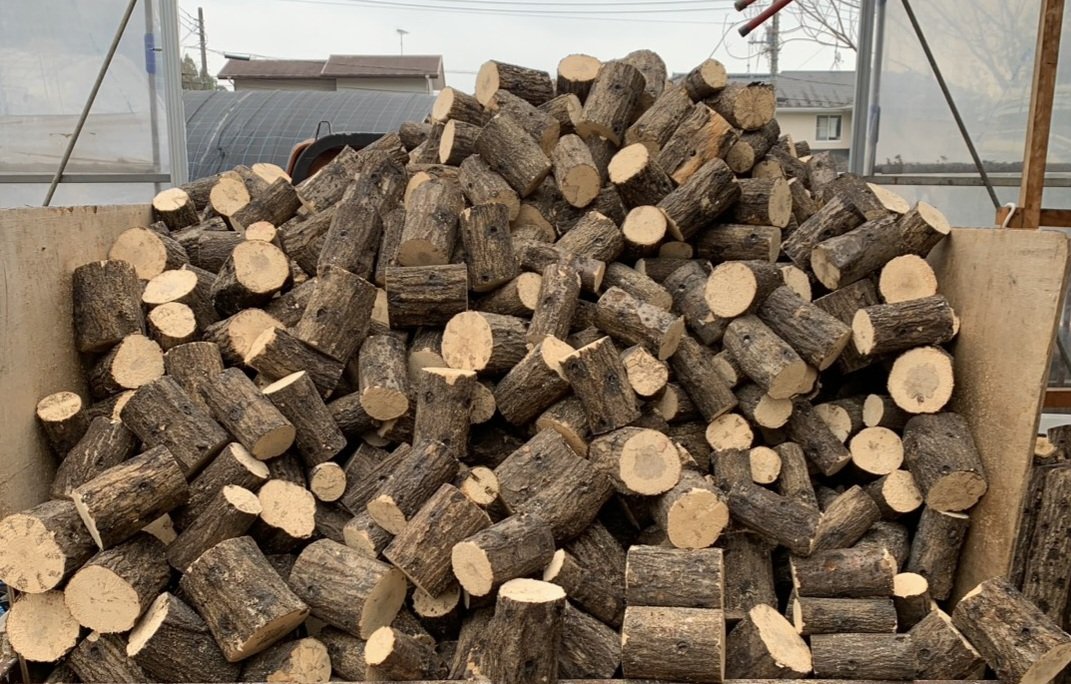 Wild-Village tweet media