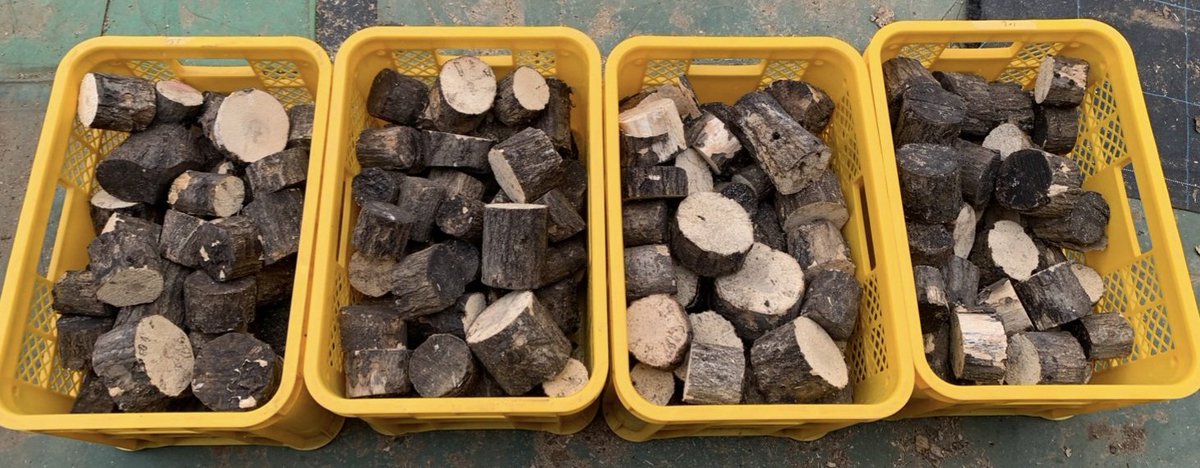 Wild-Village tweet media