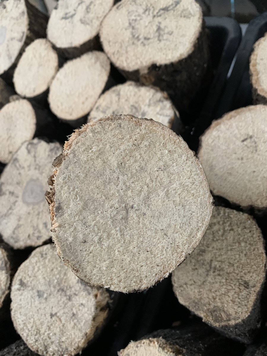 Wild-Village tweet media