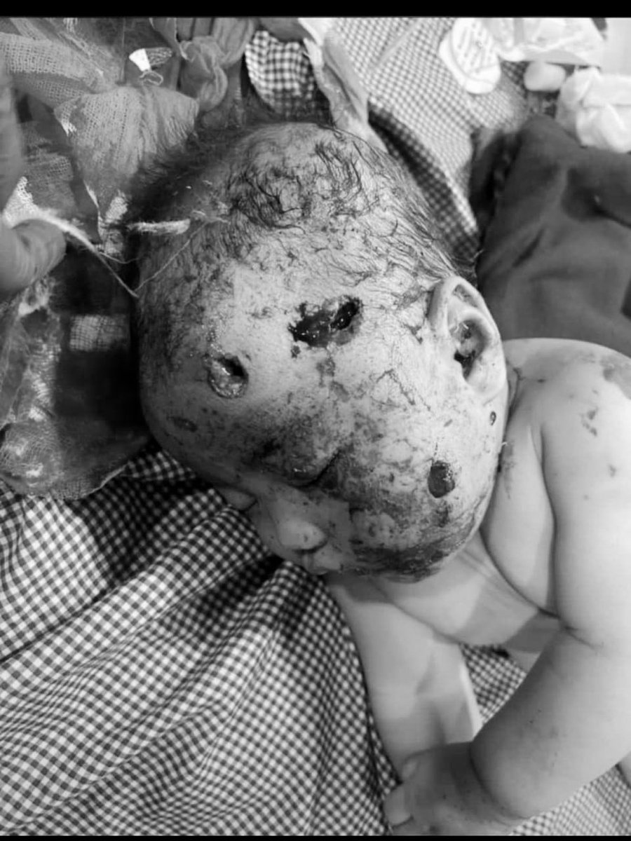 𝐆𝐞𝐨 𝐆𝐫𝐢𝐝 tweet media