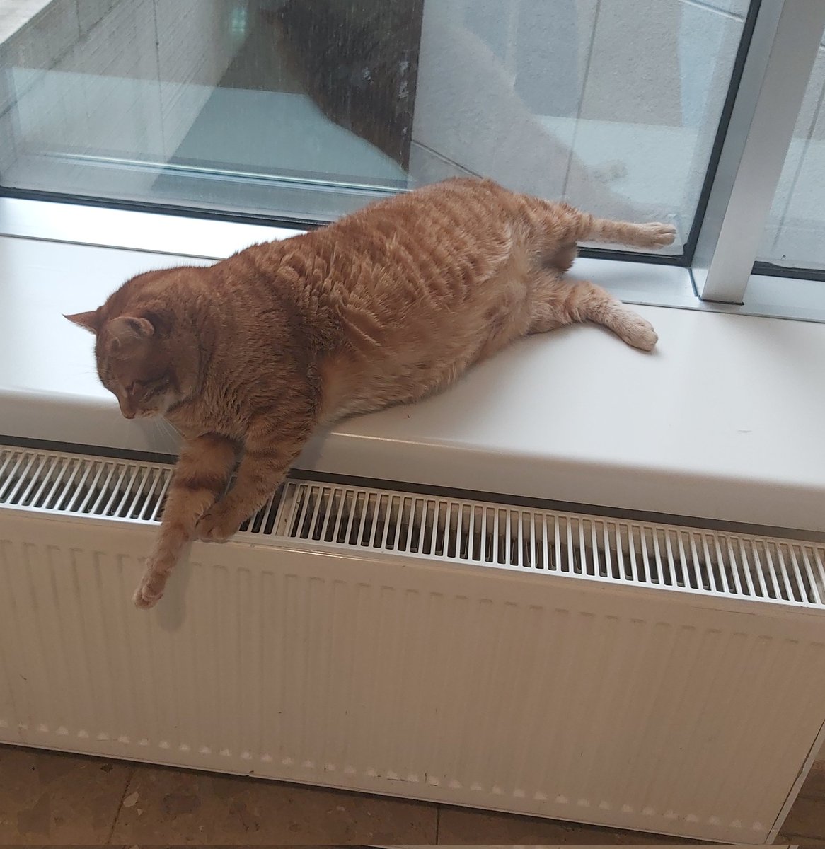 bas ★ smau 📌 tweet media