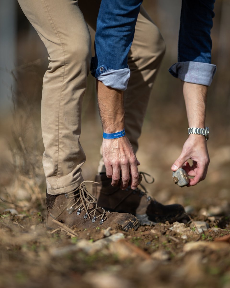 B. Dominio de Tares tweet media