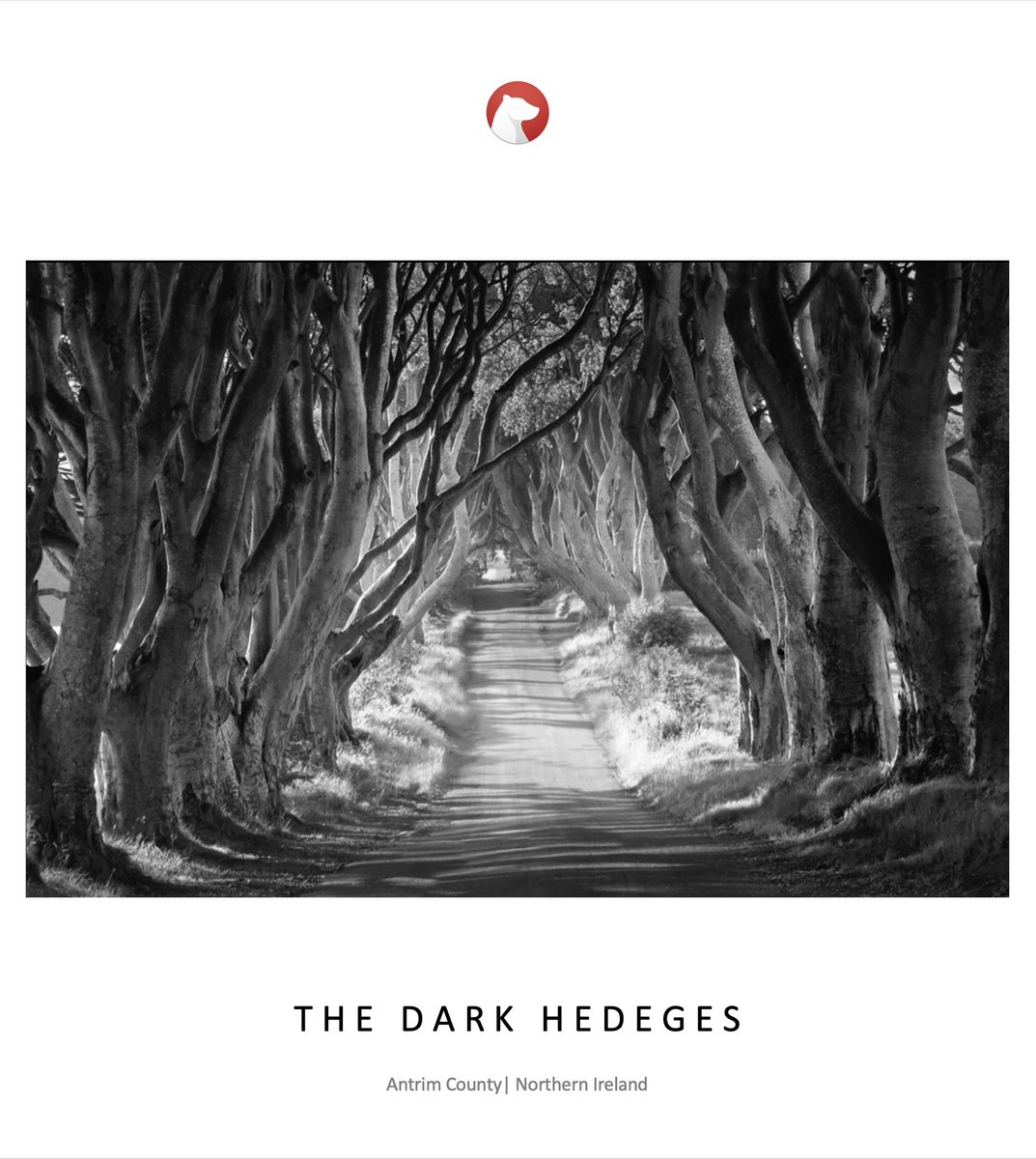 Himalaya_bear1's tweet image. #darkhedges #黑暗树篱