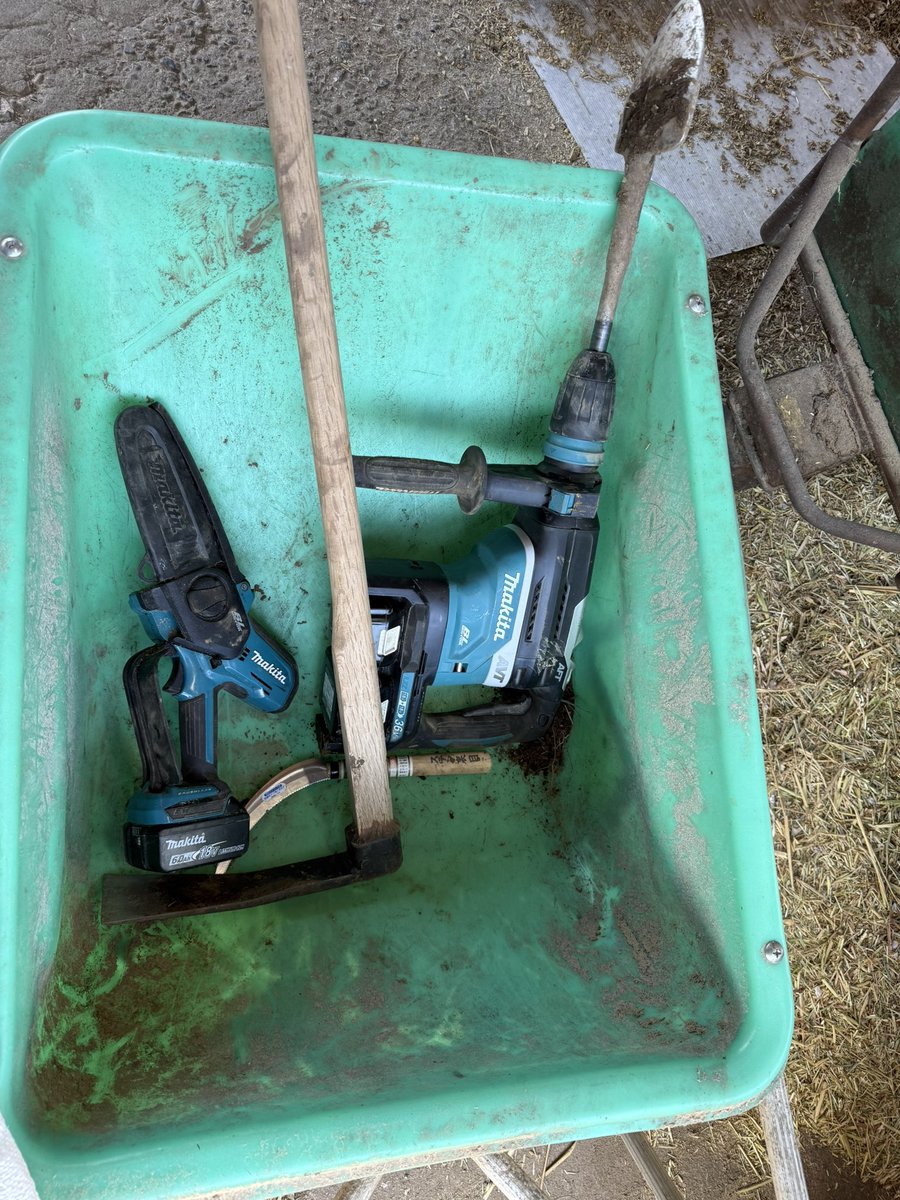 yasu@ジェネティクス社畜改良事業団 tweet media