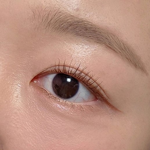 양감자 tweet media