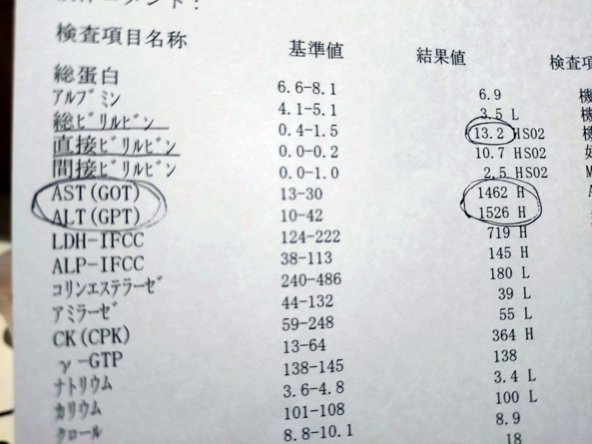 ぼんと tweet media