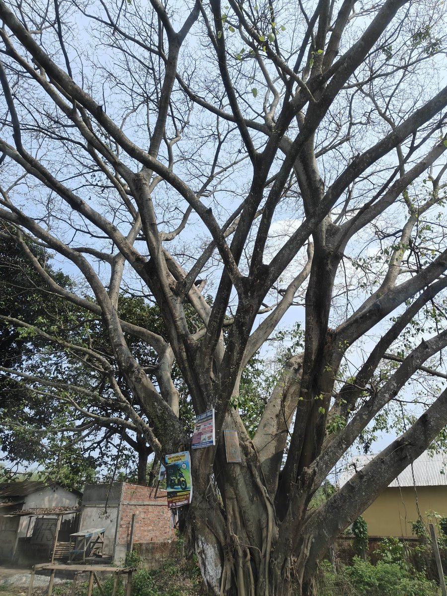 Devamitra Panda tweet media