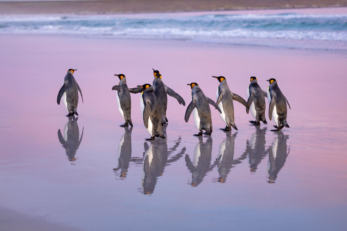 Yusuke Okada｜岡田裕介 tweet media