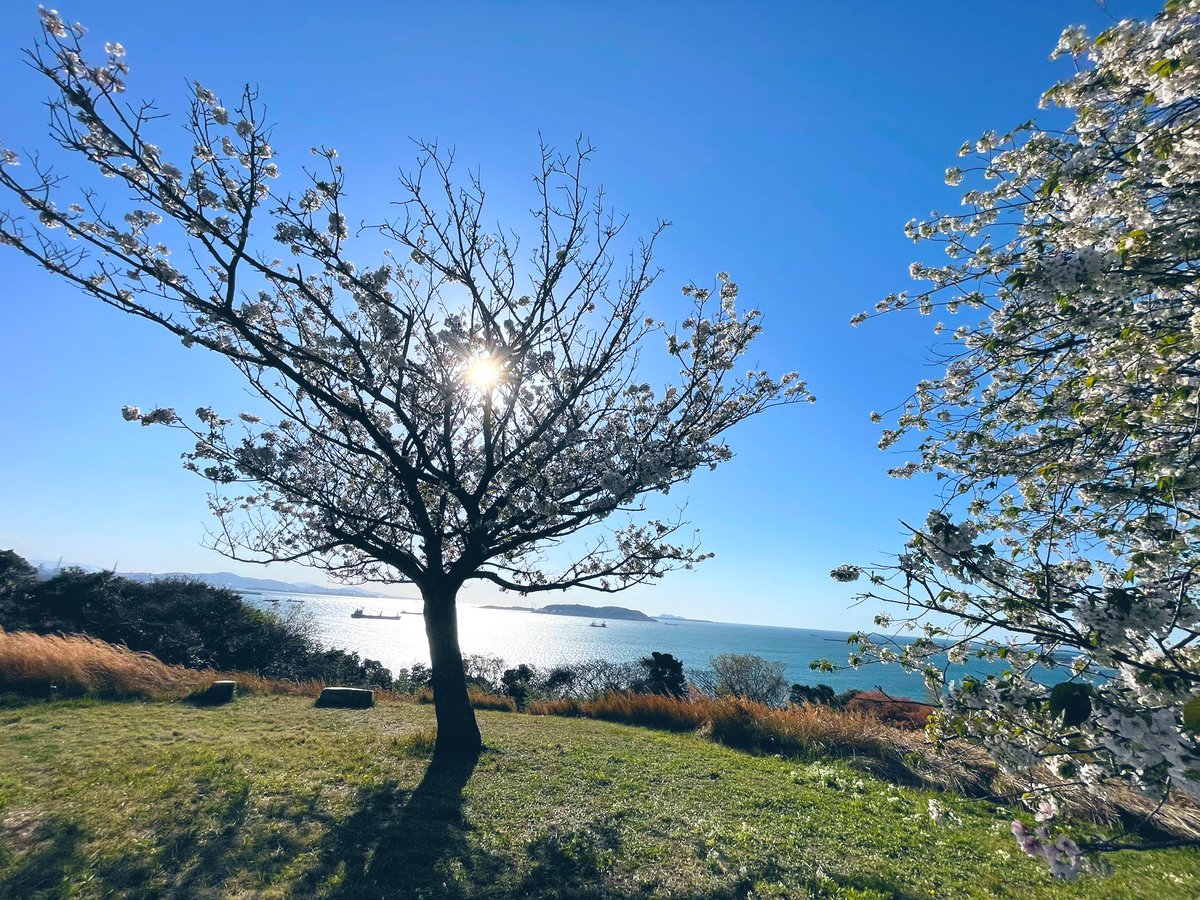 まこさん。 tweet media