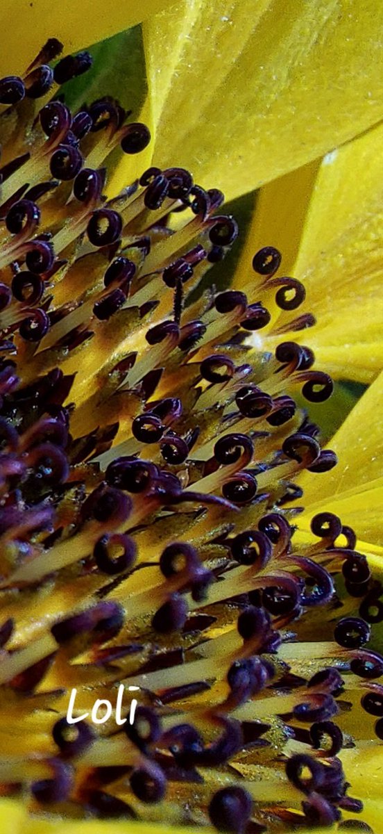 Buenos días. Buen martes 🤗 🤗