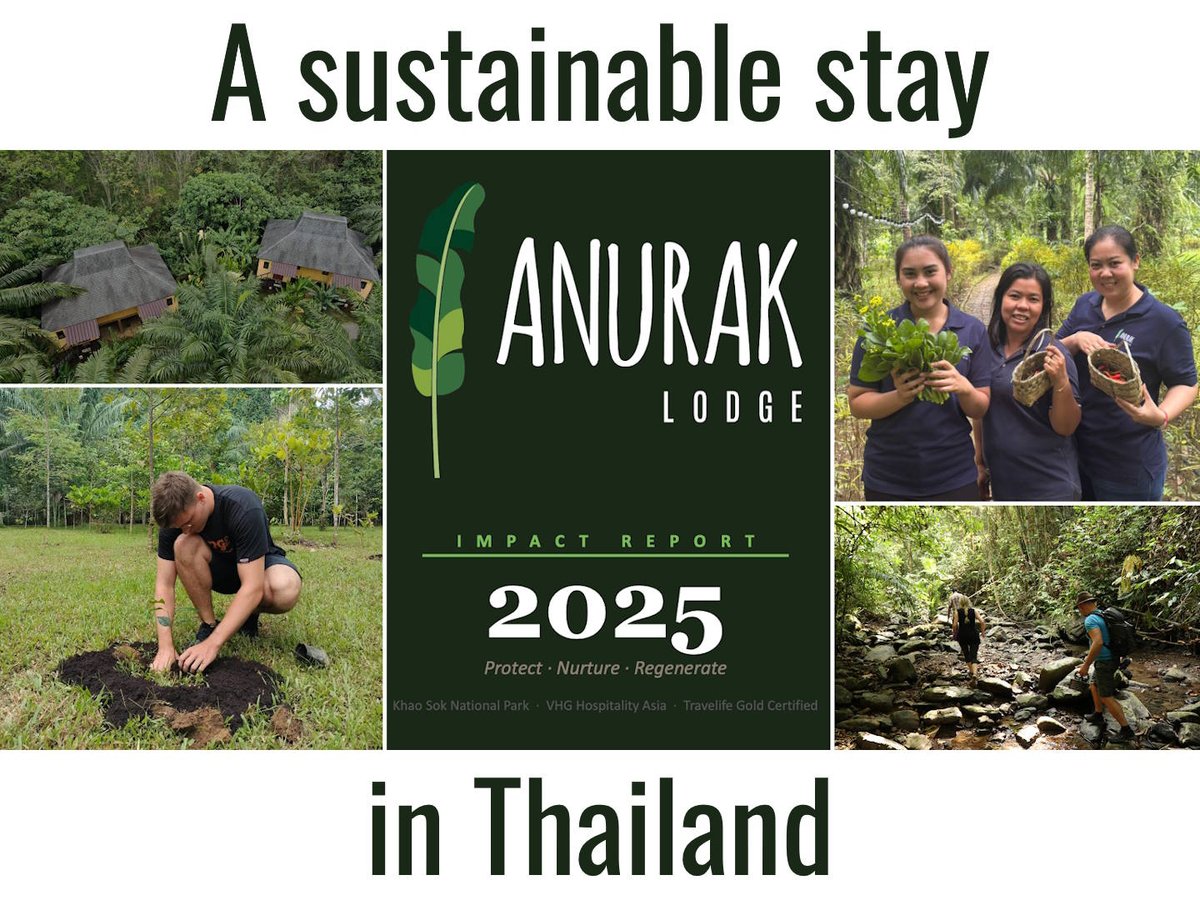GoodTourism's tweet photo. An ecolodge on the edge of Khao Sok National Park is embedding and measuring conservation, community, culture, and commerce in its operations.

"#GoodTourism" #Thailand #sustainability #tourism #community Cc @AnurakLodge  @thelongrunorg 

https://t.co/dJyhEglgwh https://t.co/O4cigVsZid