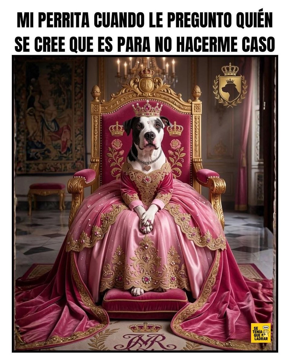 Diego Manso Martín (@dmansomartin) on Twitter photo 