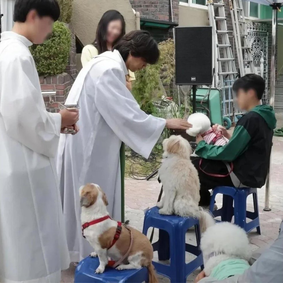 Halosunnyッ tweet media