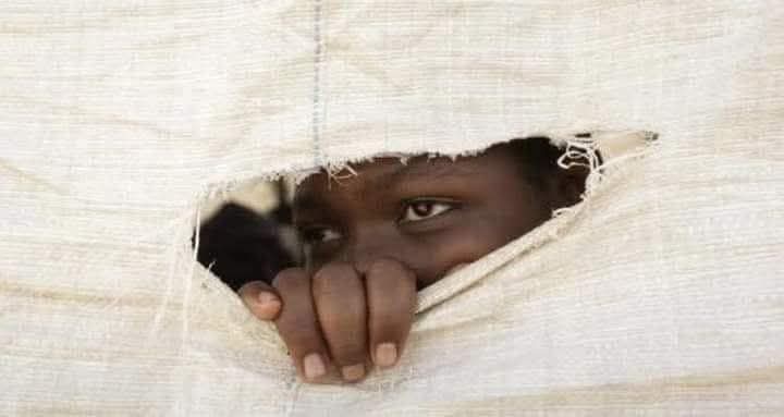 Ajah tweet media