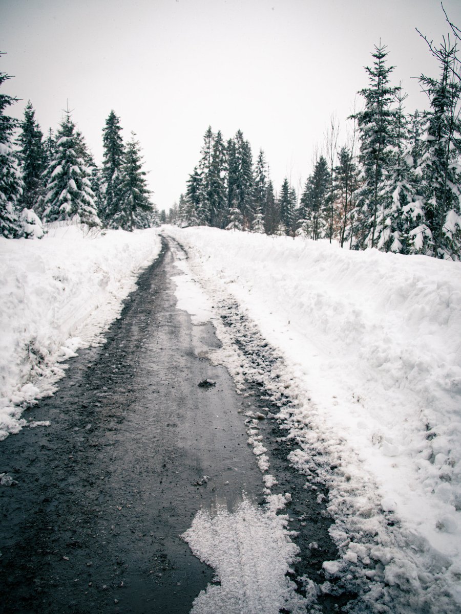 Leaving 🎗️🇮🇱🇺🇦🇪🇺🇨🇦🇬🇱 tweet media