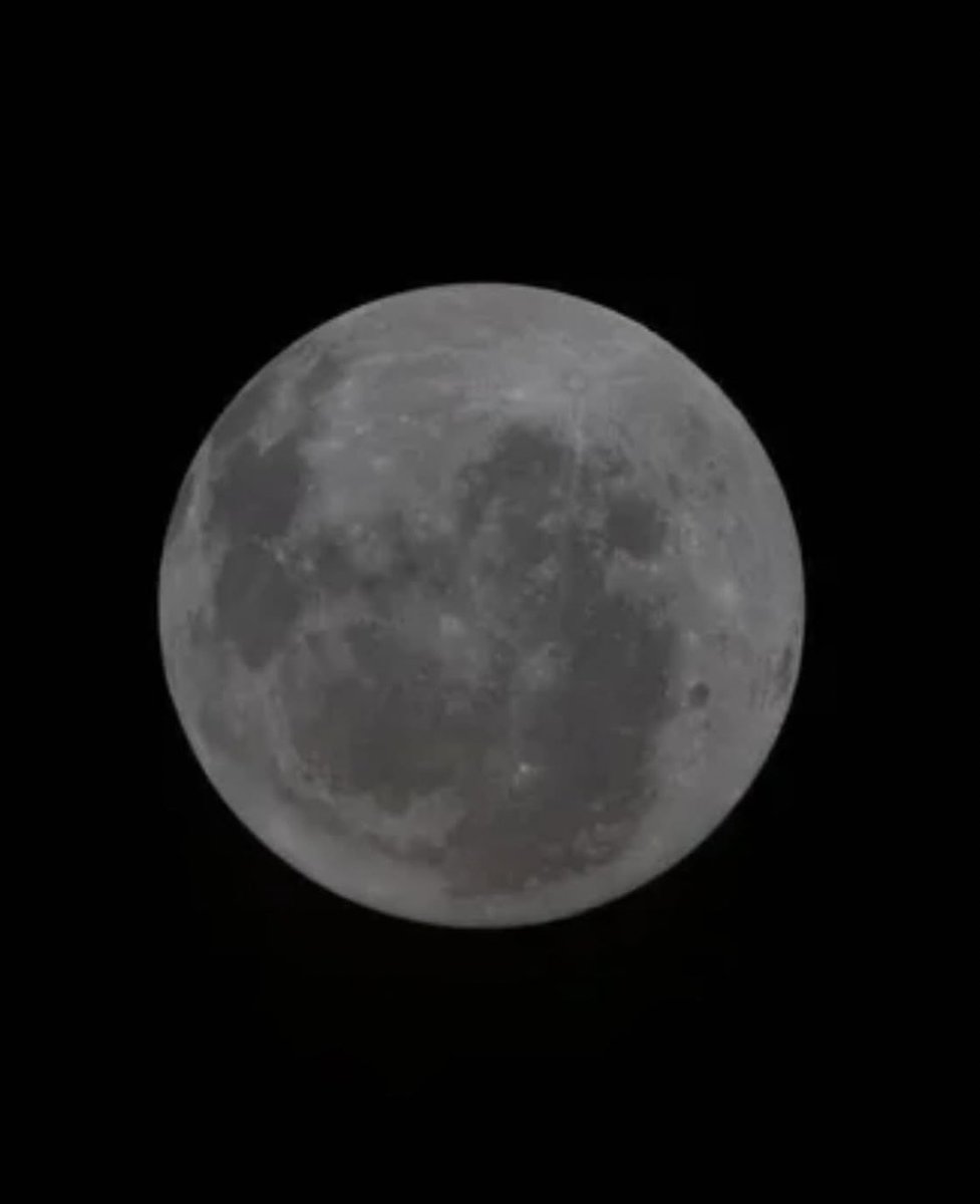 folkative tweet media