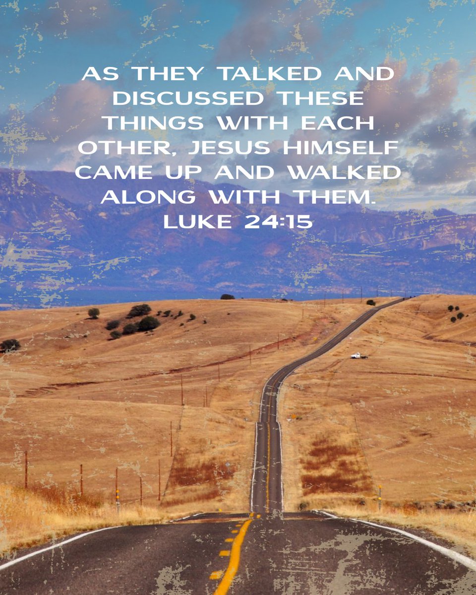 Helen Shannon tweet media