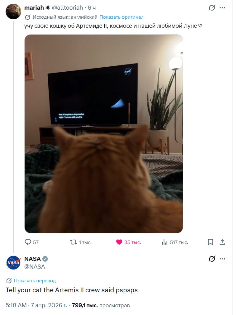 Оруэлл и Замятин tweet media