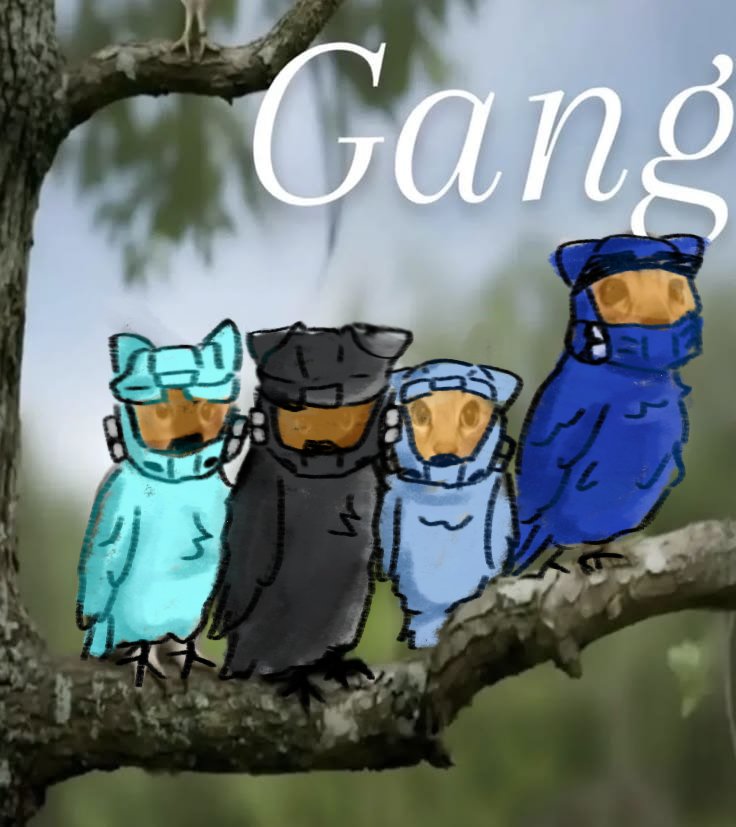 adrian☆ tweet media