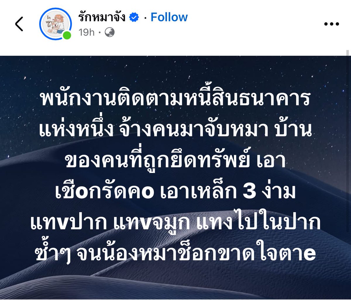 ff—🐶🐱 tweet media