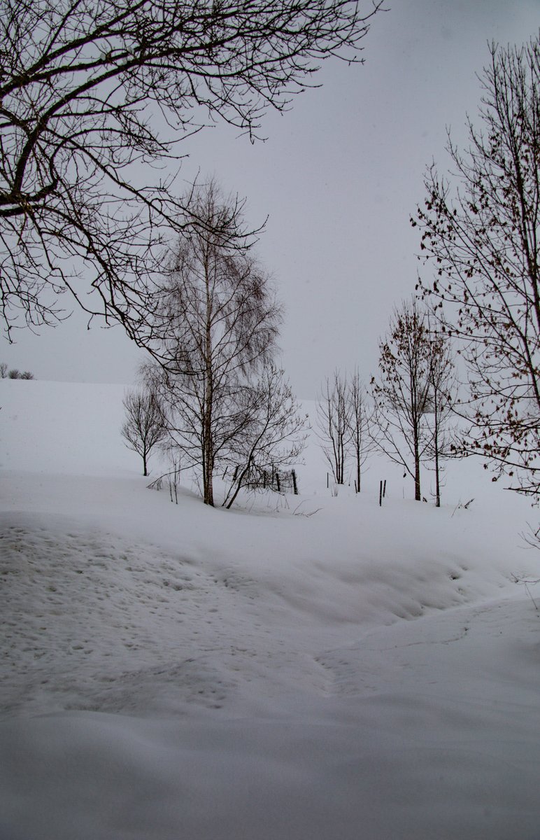 Leaving 🎗️🇮🇱🇺🇦🇪🇺🇨🇦🇬🇱 tweet media