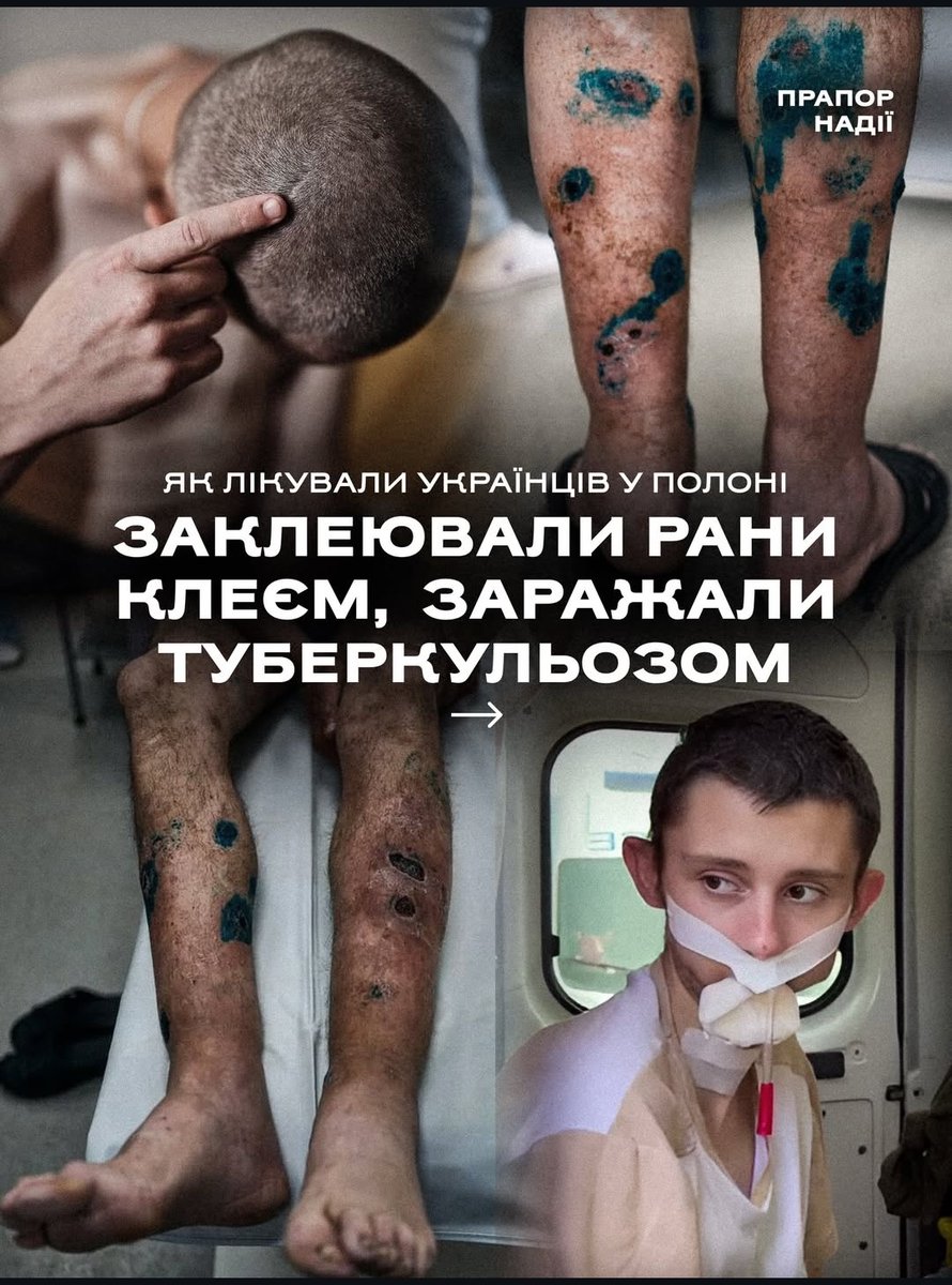 Ластівка tweet media