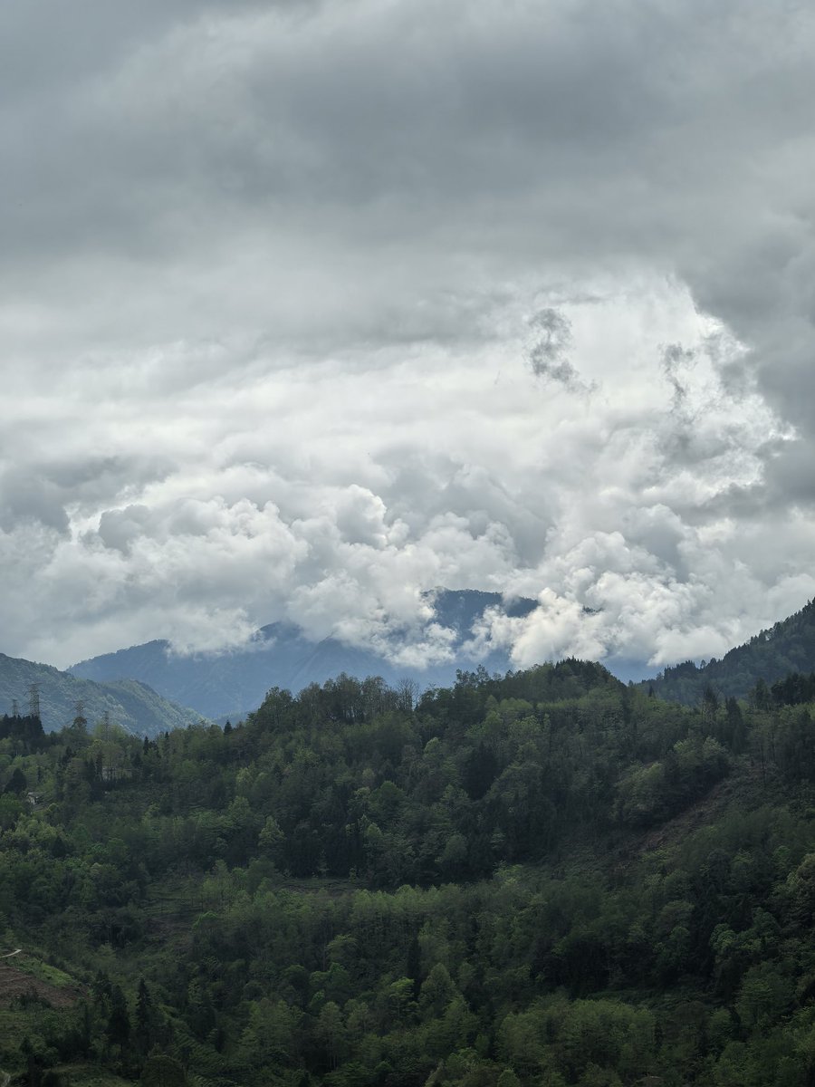 5块的糖 tweet media