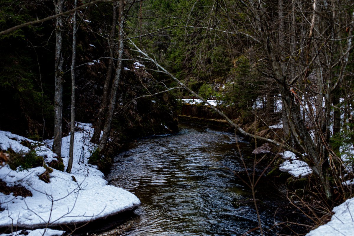 Leaving 🎗️🇮🇱🇺🇦🇪🇺🇨🇦🇬🇱 tweet media