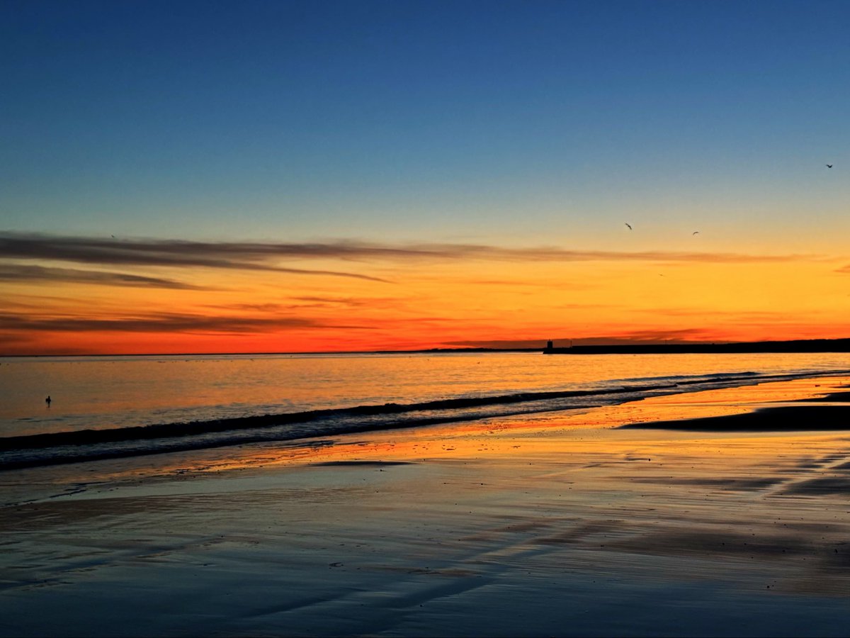 graham ross tweet media