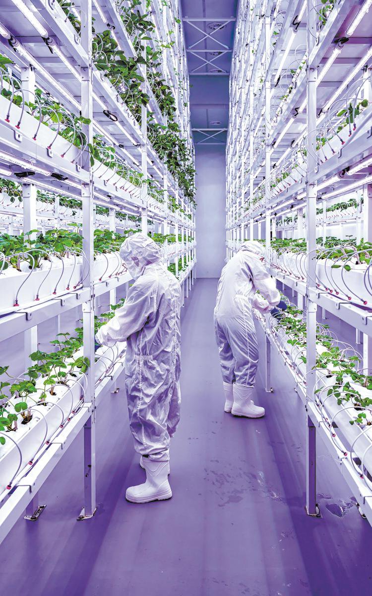 Embajada de China en España tweet media