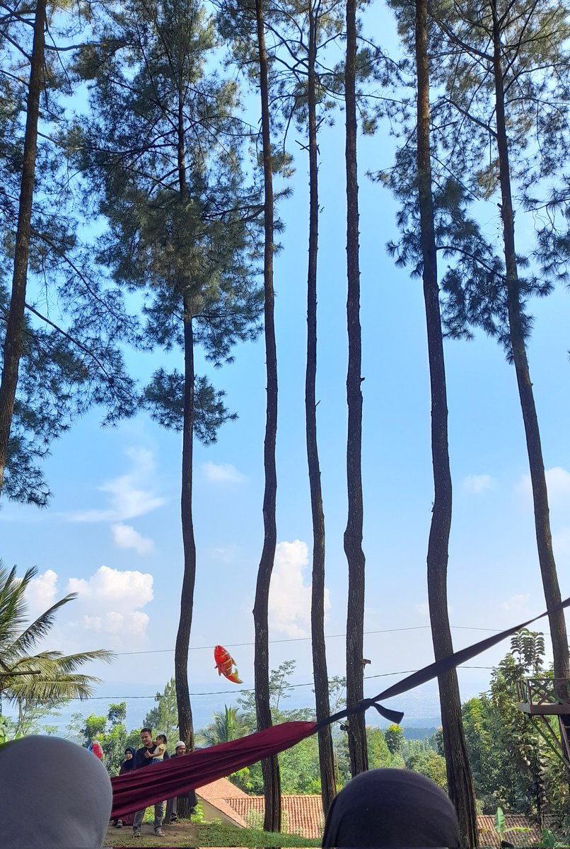 🌻 El 🌻 tweet media