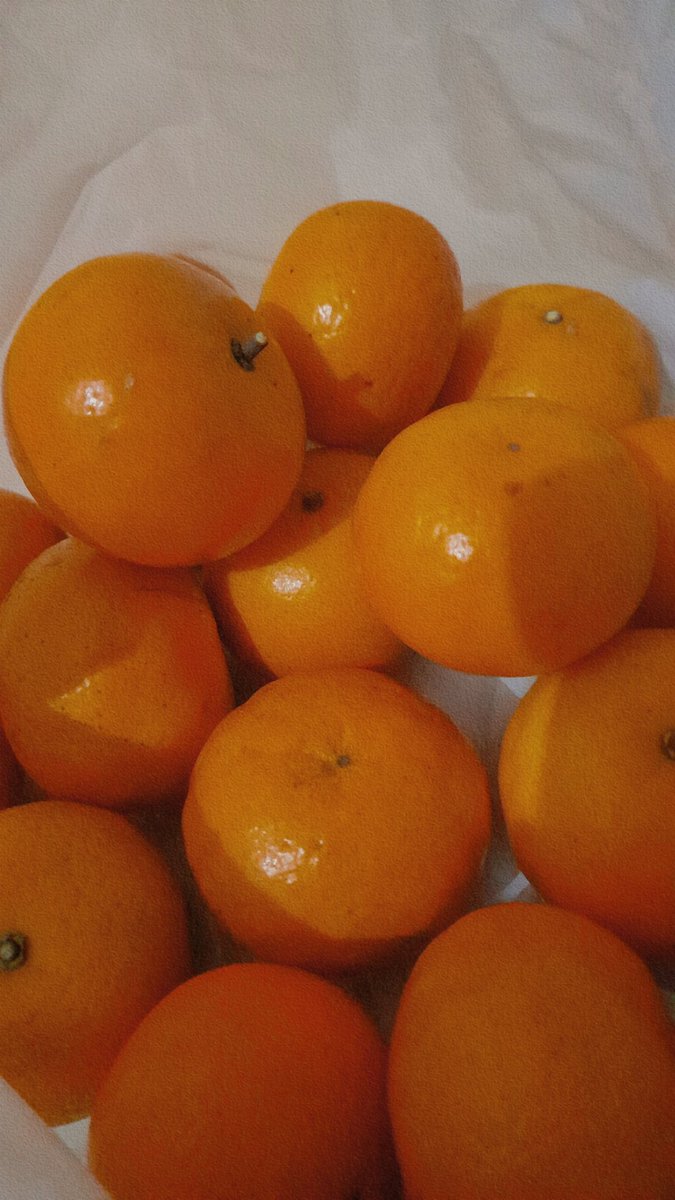 🌻 El 🌻 tweet media