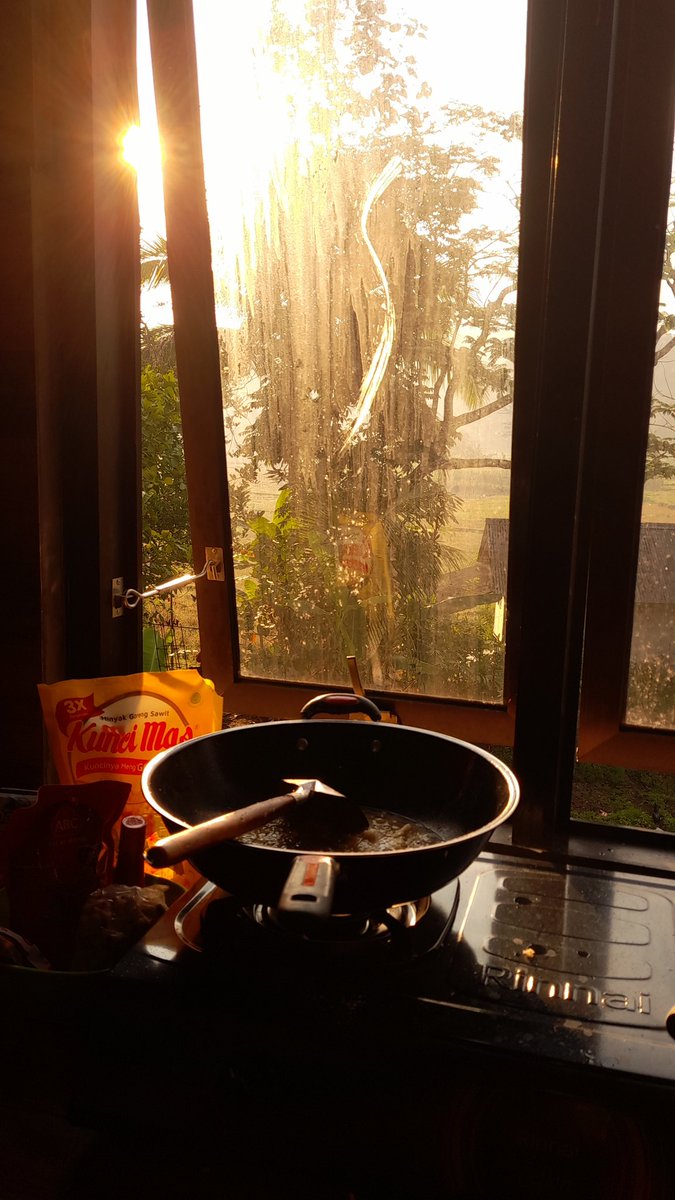 🌻 El 🌻 tweet media