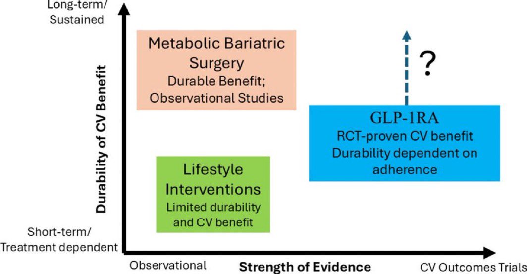 drbennisahmed's tweet image. From risk factor to therapeutic target: obesity therapy and cardiovascular outcomes

Randomised cardiovascular outcome trials (CVOTs) of glucagon-like peptide-1 receptor agonists (GLP-1 RAs) have repeatedly demonstrated reductions in major adverse cardiovascular events (MACEs).