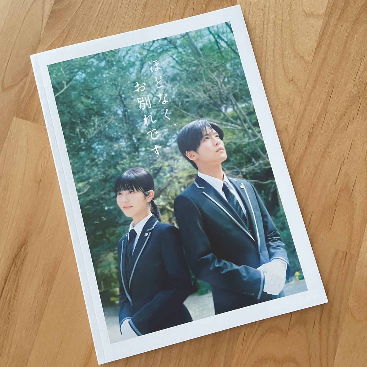 込由野しほ🌿 tweet media