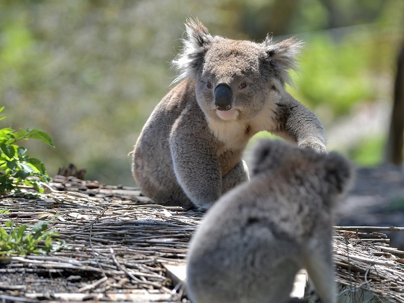 都築英哲 tweet media