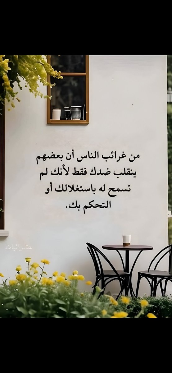 الذيب في الجليب tweet media