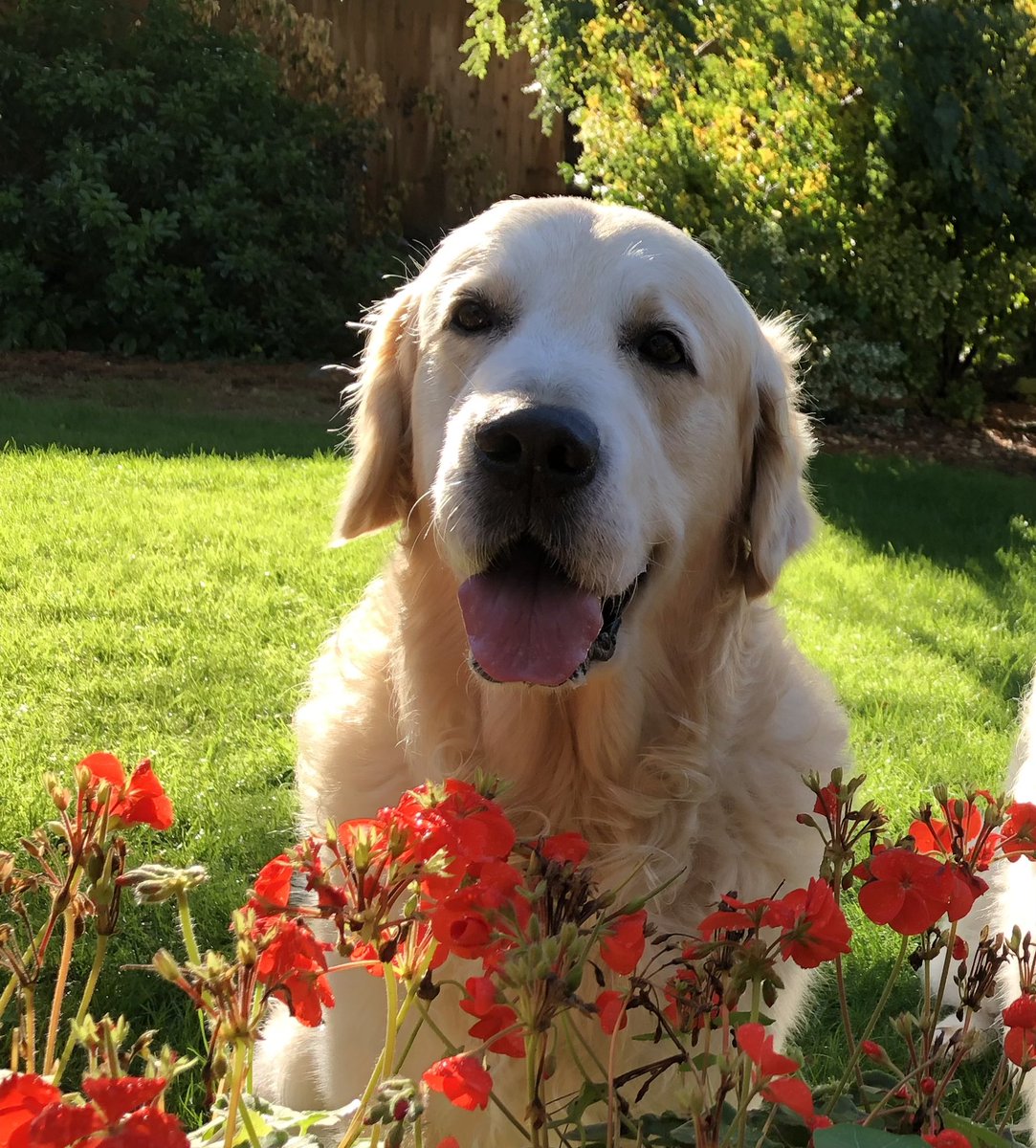 Finn 🌈 tweet media