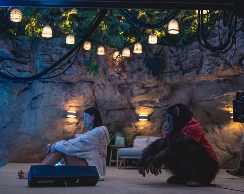 #JustWatched 🎞️🎥📽️Primate (2025)Çok beklenti içine girmeden izlenebilir bence o kadar da berbat değil. Abartılı sahneler ve kurgusal saçmalıklar var evet.Yine de gerilimli bir akşam geçirmemize vesile oldu thnx 🦧🦍