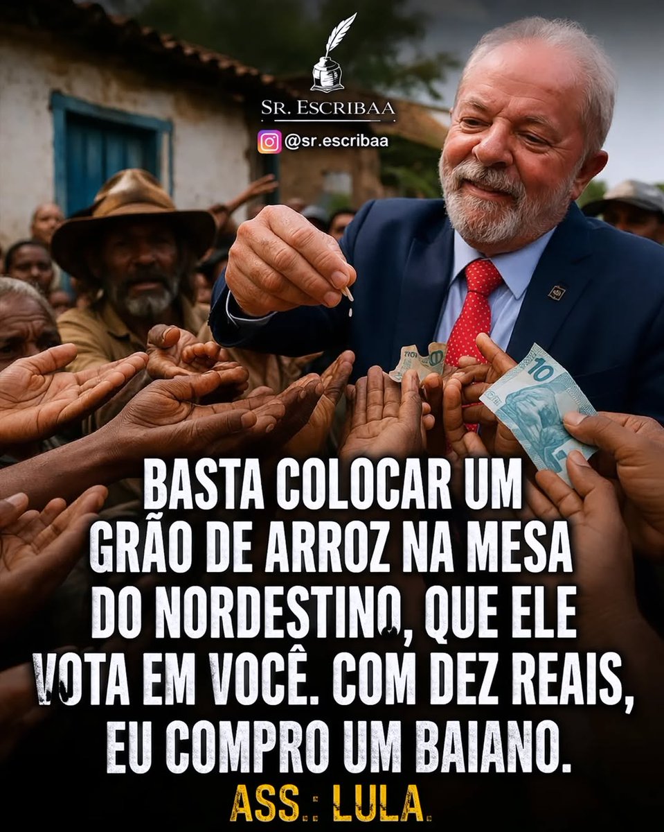 Carolina Vitoria tweet media