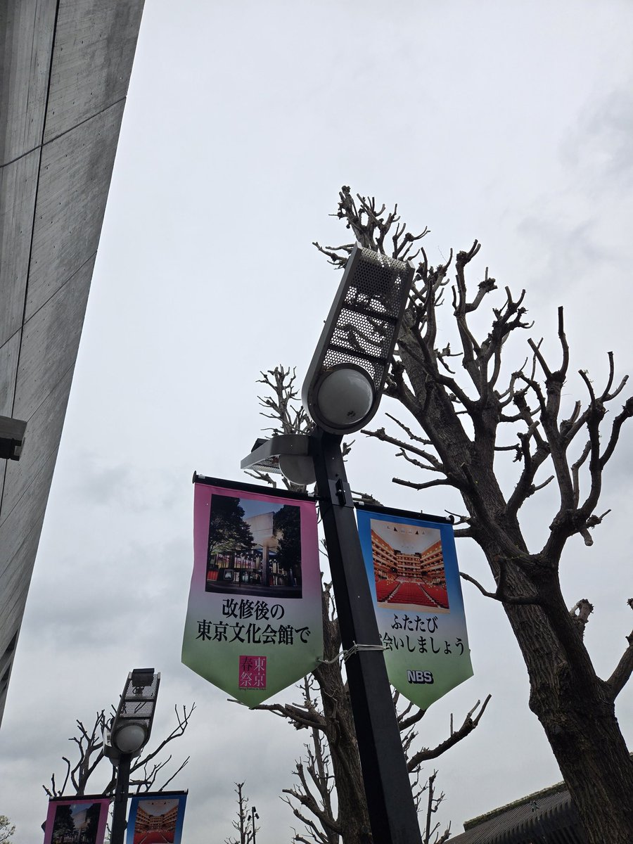 Chieponnn's tweet photo. 2台の異なるウィーン式フォルテピアノが同時に搬入されるキセキが起こった東京文化会館🎹🎹🌈
B1階リハーサル室へは J.A.シュタイン、2階小ホールへは ナネッテ・シュトライヒャー🇩🇪🇦🇹😍
ま、まさかの… シュタイン親子の楽器ッ🥹🥹🥹🌿
#東京春音楽祭🌸
当方 改修前最後の東京文化会館です🥺🥲🥰 https://t.co/yMoJpA6m5h
