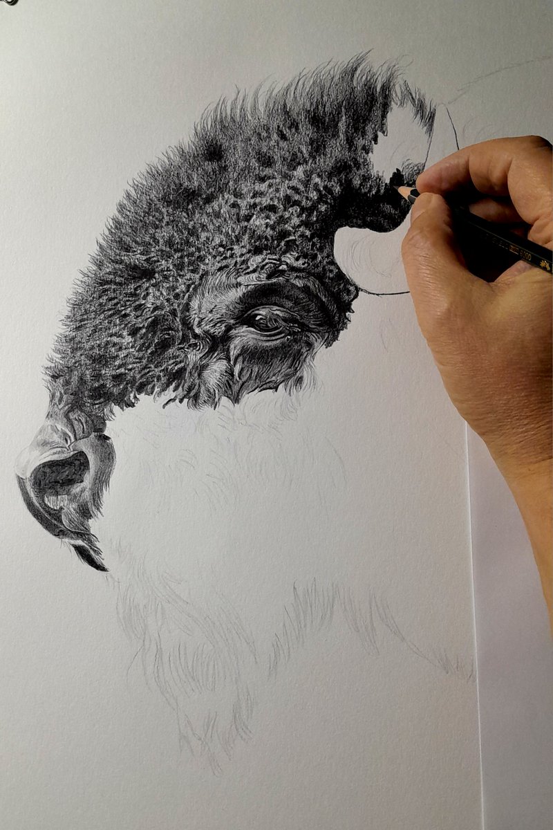 Fernando Ferreiro tweet media