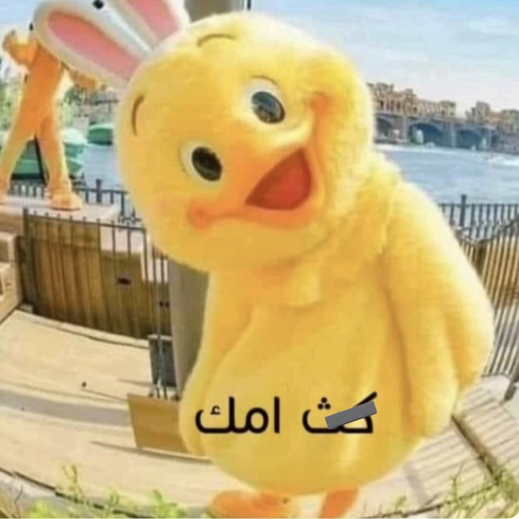 🔆أم Sultan🔆 tweet media