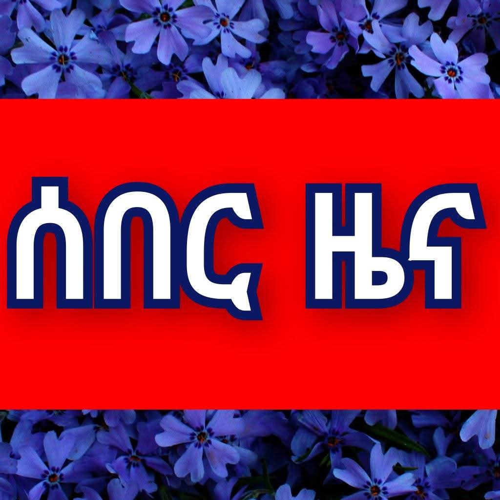 Meredit Fernandez tweet media