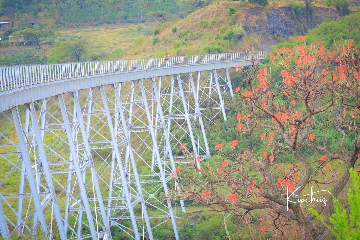 GREAT-NESS tweet media