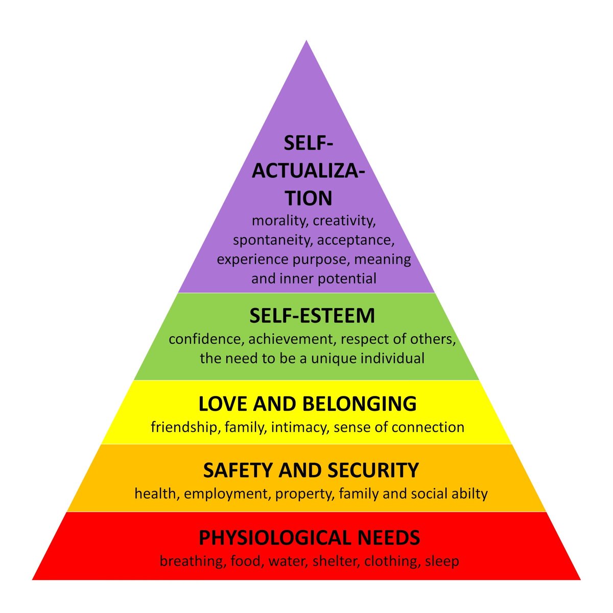 🐈 ☭ 🔻 tweet media