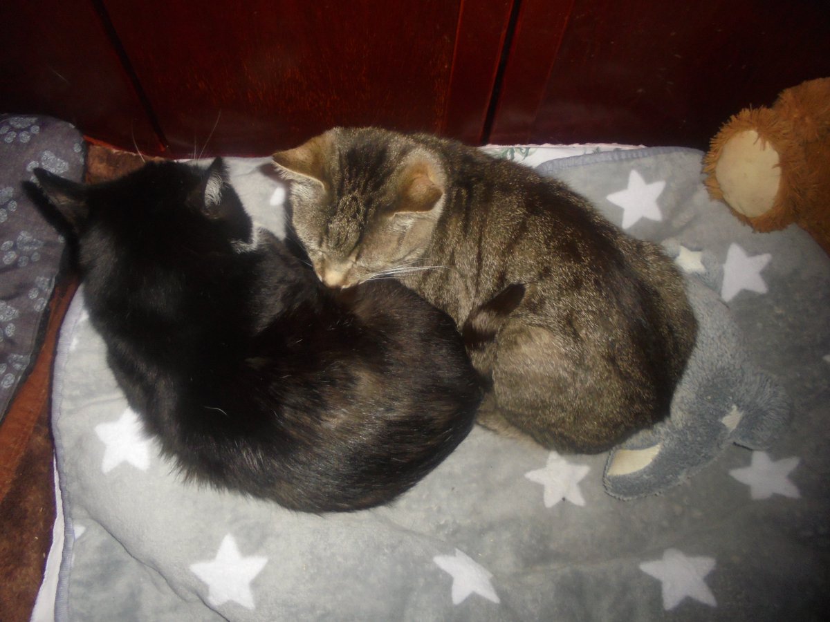 Maria Anna Fundacja Zdążyć do domu tweet media