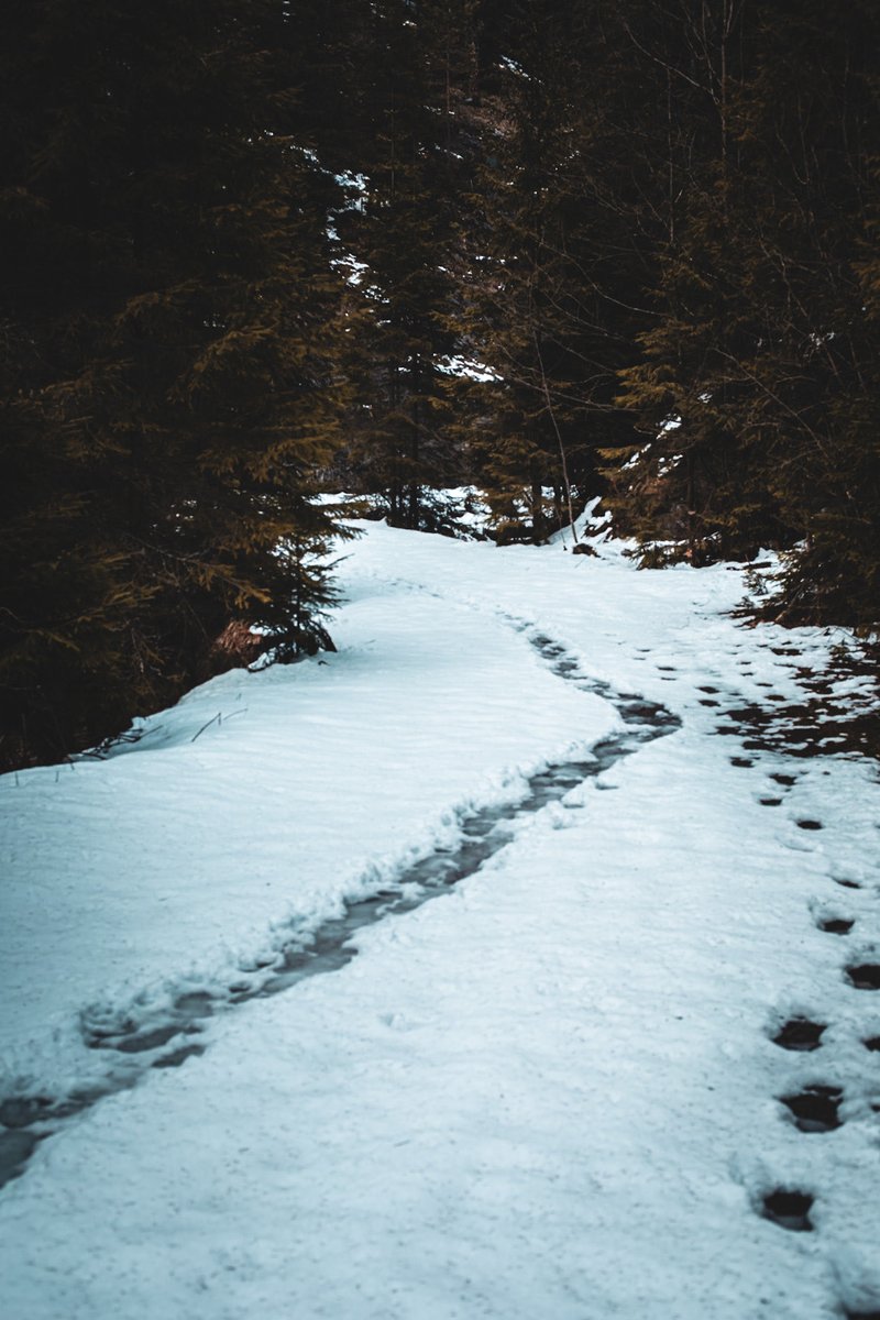 Leaving 🎗️🇮🇱🇺🇦🇪🇺🇨🇦🇬🇱 tweet media