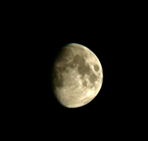 Professor tweet media